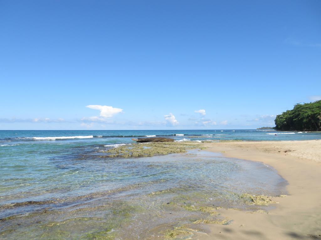 La Kukula Lodge Puerto Viejo de Talamanca Экстерьер фото