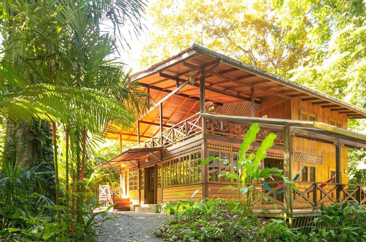 La Kukula Lodge Puerto Viejo de Talamanca Экстерьер фото